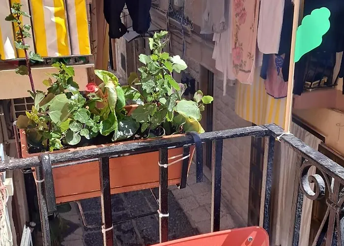 Dimora Scarpa * בארי